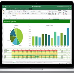 microsoft excel intermediate