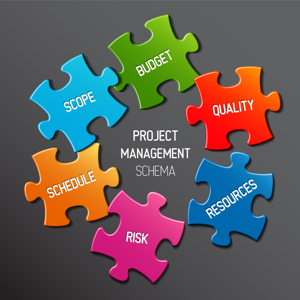 project management