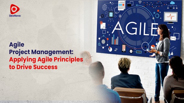 agile principles to drive success