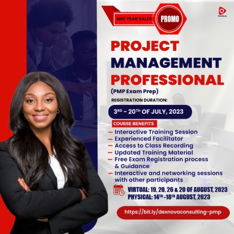 The Art of Effective Communication in Project Management - DexNova ...